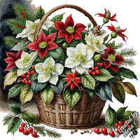 christmas winter flowers - Безплатен анимиран GIF