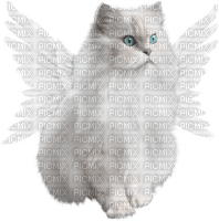 fantasy cat by nataliplus - png gratis