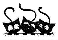 Black kitten - ilmainen png