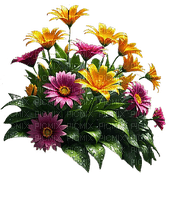 Flores - png gratis