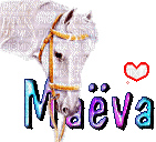 Maëva - Δωρεάν κινούμενο GIF