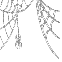GLITTER SPIDER WEB FRAME-ESME4EVA2021