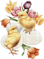 soave deco easter chick eggs  pink yellow purple - png gratis
