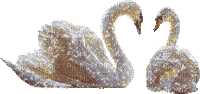 Kaz_Creations Swans Swan Birds
