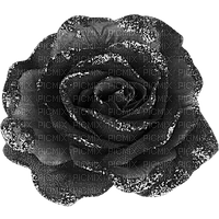 cecily-rose noire givree - PNG gratuit