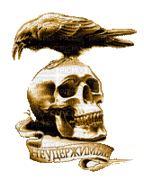 crow and skull - Бесплатный анимированный гифка