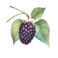 blackberry Bb2 - PNG gratuit