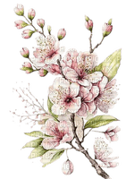 fleurs sur branche - δωρεάν png