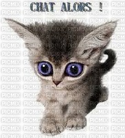 Chat Alors ** - Free PNG
