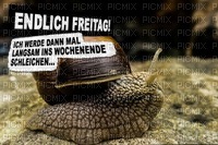 wochentag - Free PNG