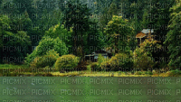Wald - Безплатен анимиран GIF
