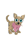Chihuahua - Безплатен анимиран GIF