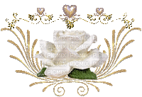 rose blanche - Ingyenes animált GIF