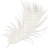 dolceluna white steampunk feather png deco - PNG gratuit