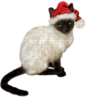 Kaz_Creations Cats Cat Kittens Kitten  Christmas - PNG gratuit