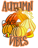 Autumn Vibes Pumpkin Text - - Bogusia - Free PNG