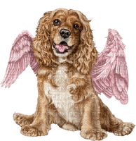 dog angel by nataliplus - ilmainen png