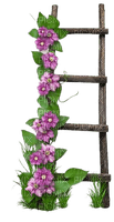 fleurs échelle - gratis png