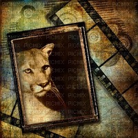 Löwe lion - PNG gratuit