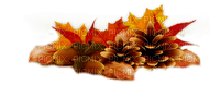 autumn deco by nataliplus - 免费PNG