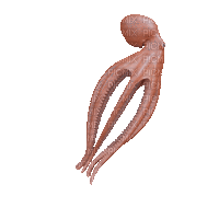 Art Swimming - 無料のアニメーション GIF