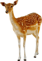 Kaz_Creations Deer - besplatni png