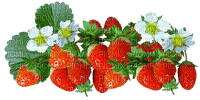 mansikka, strawberry - besplatni png
