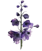 fleurs - PNG gratuit