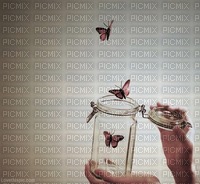 Papillons(sauvage) - png gratis