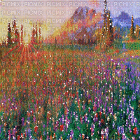 kikkapink background flowers spring field - Gratis geanimeerde GIF