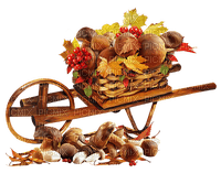Mushrooms Autumn - Bogusia - PNG gratuit
