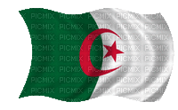 Drapeau Algérien - Ingyenes animált GIF