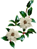 Christmas.Flowers.White.Branch.Victoriabea - png ฟรี