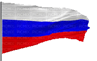 Victory Day - Darmowy animowany GIF