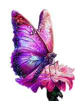 Mariposa en flor - ingyenes png
