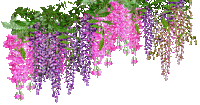 Bloemen en Planten - GIF animé gratuit