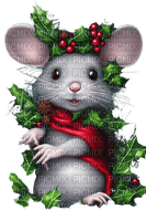 Mouse Christmas - Bogusia - nemokama png