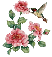 Flowers pink rose bp - GIF animé gratuit