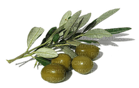 olives bp - 免费PNG