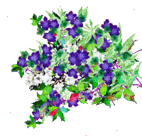 nbl-flower - GIF animado grátis