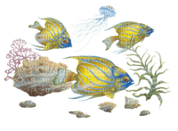 tube animaux aquarium - ingyenes png