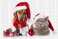 Santa Cat /Dog - gratis png