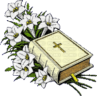 bible-Nitsa P - Darmowy animowany GIF