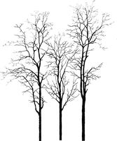 Arbre.Tree.Winter.Hiver.Victoriabea - PNG gratuit