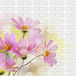 цветы - nemokama png