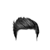 hairstyle - png gratis