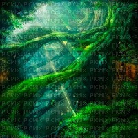 Y.A.M._Fantasy jungle forest background - бесплатно png
