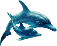 Delfin - png gratis