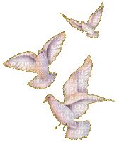 palomas rosa oro gif dubravka4 - Bezmaksas animēts GIF