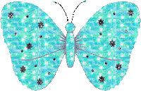 turquoise butterfly - GIF animasi gratis